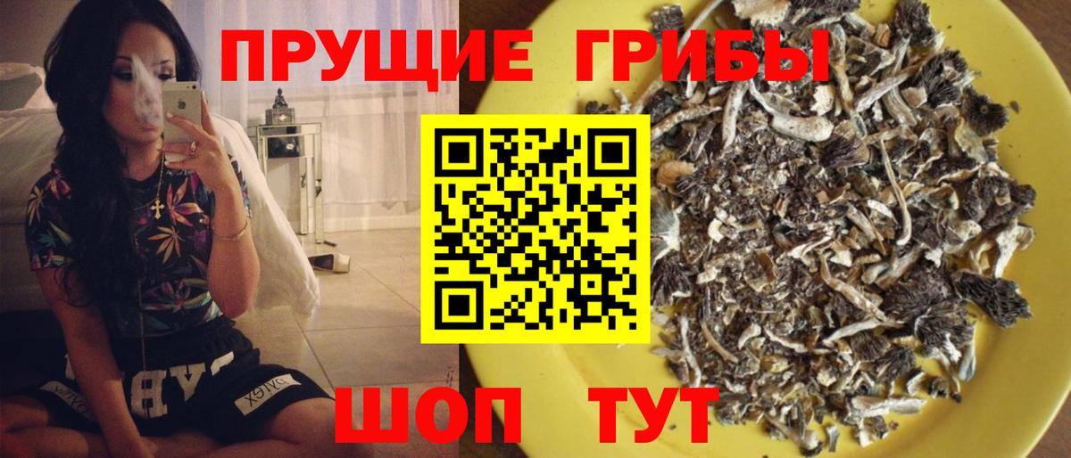 Геленджик  Галлюциногенные грибы MAGIC MUSHROOMS  Вход с VPN  Галлюциногенные грибы Cubensis 