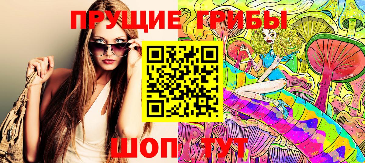 Галлюциногенные грибы Cubensis Геленджик